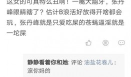 卓伟爆料手撕视频大全下载,揭秘娱乐圈幕后真相